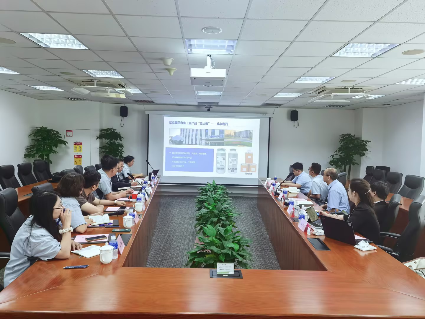 深化协同 共谋出海——中国大冢与国药国际、国药外贸开展合作交流